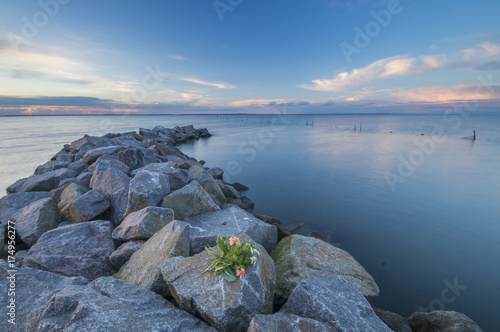 Canvas Print a bunch of flowers lying on the breakwater