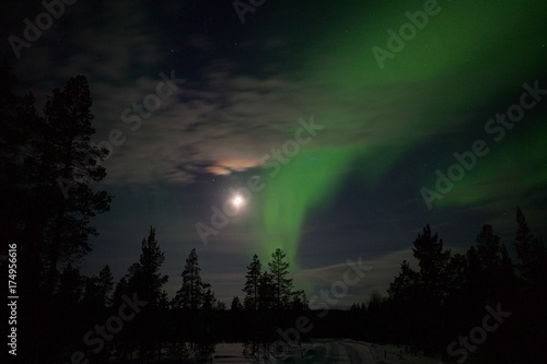 Aurora Boreal