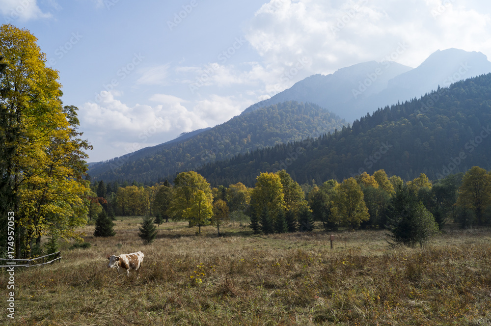 Autumn in the mountains, Tatras, Slovakia