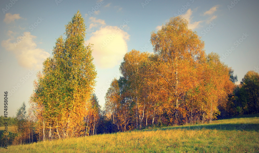 Fototapeta premium Beautiful autumn landscape