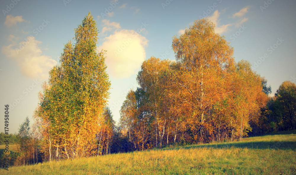 Beautiful autumn landscape