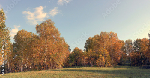 Beautiful autumn landscape