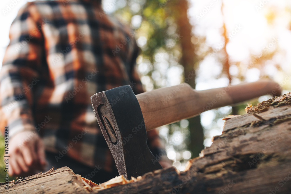 Ax sticks out in felled tree in forest, a blurred lumberjack in the background Ax sticks out in felled tree in forest, a blurred lumberjack in the background