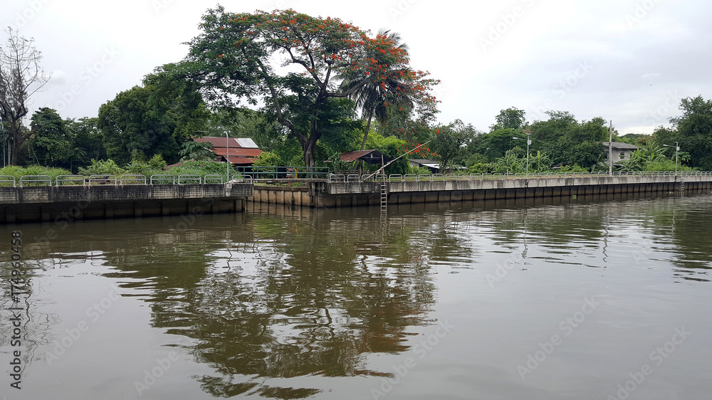Thai Canal is very close to the nature Thai Canal is very close to the nature