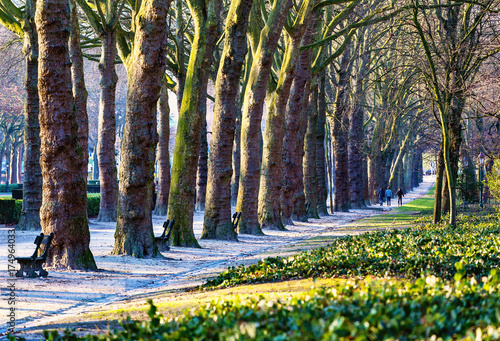 Picturesque alley in Elisabeth park at sunset, Brussels, Belgium