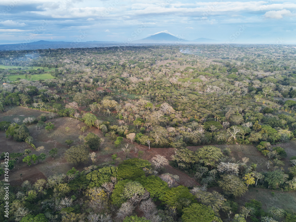 Obraz premium Rainforest in Nicaragua view from drone