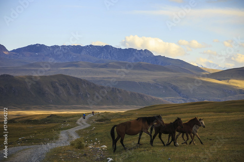 Travelers on motorcycles in the mountains of Kyrgyzstan. Horses in the pasture Terskey Ala Too