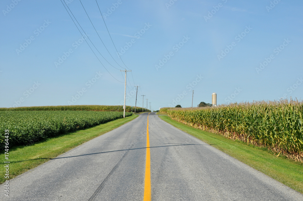 Amish Country Road