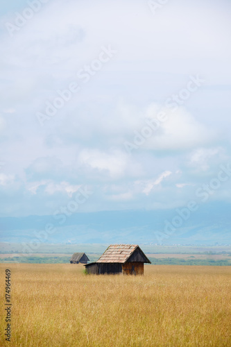 Little wooden barns in a wheat field