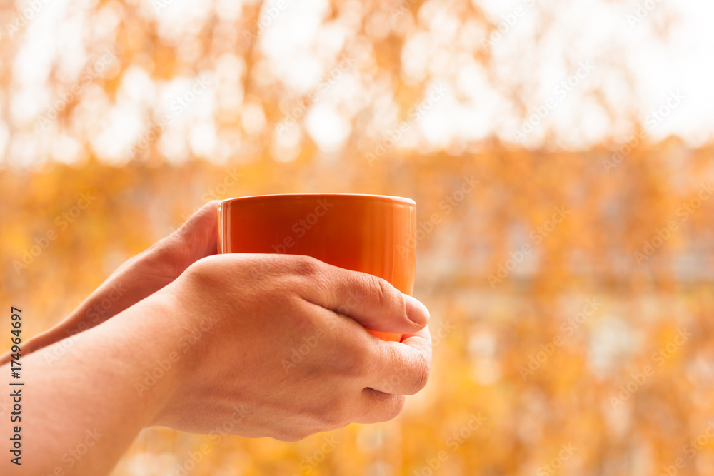 Autumn concept. Close up view of cup with yellow leaves on background. Autumn concept. Close up view of cup with yellow leaves on background.