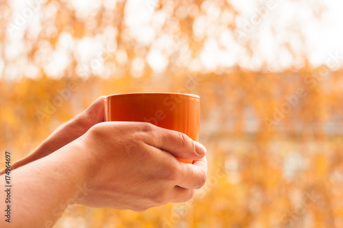 Autumn concept. Close up view of cup with yellow leaves on background.