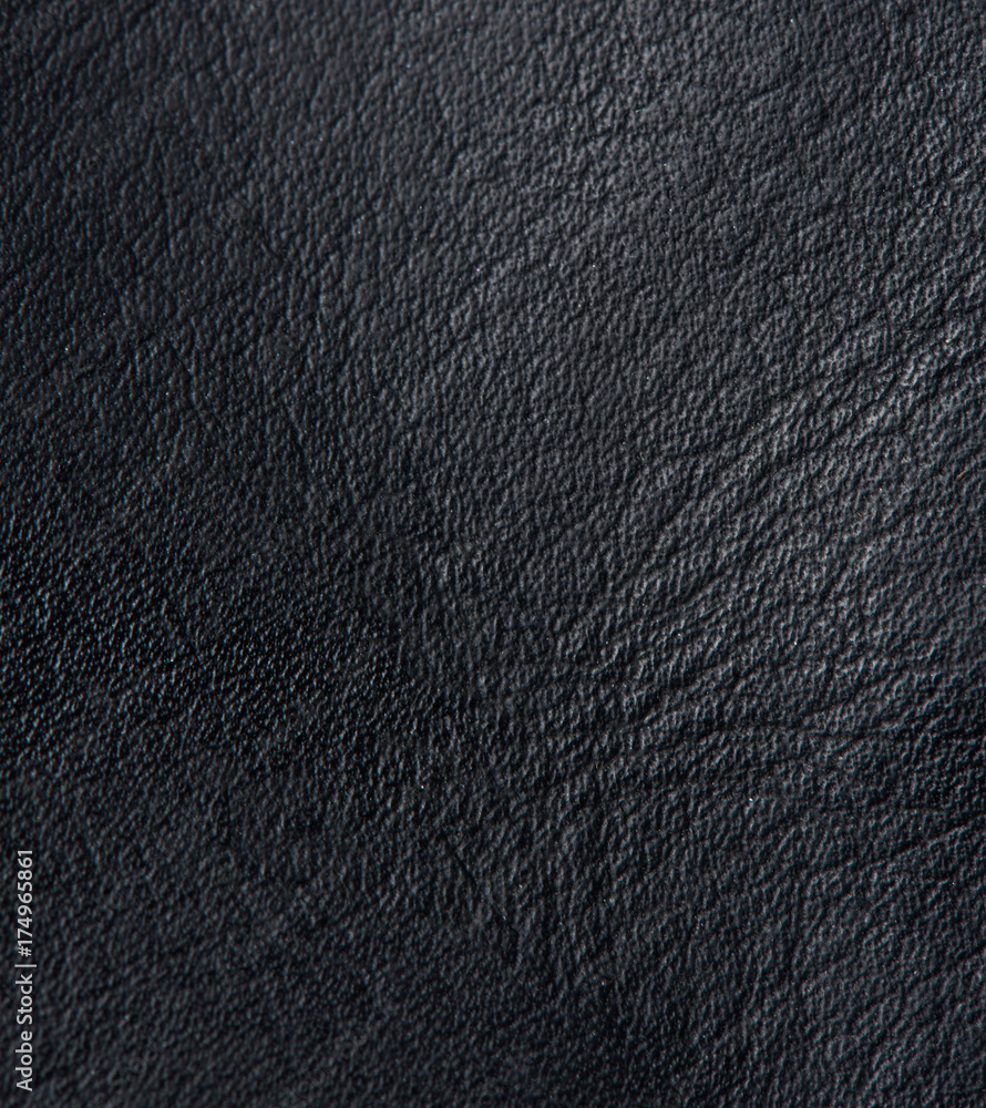 Real animal skin background Real animal skin background