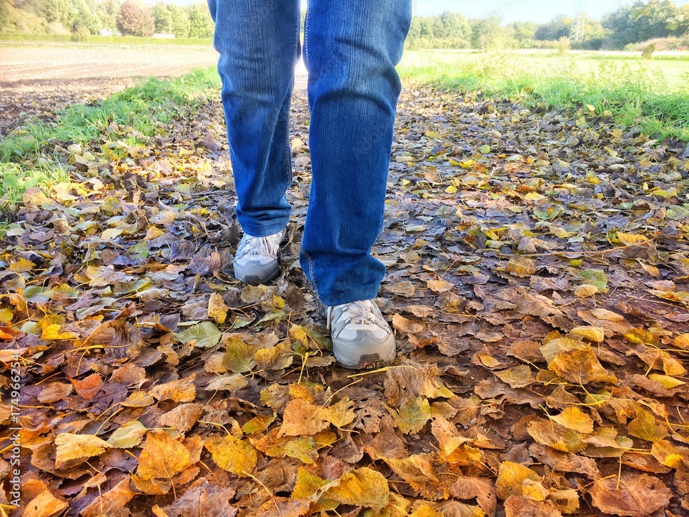 Spaziergang durch eine herbstliche Landschaft Spaziergang durch eine herbstliche Landschaft