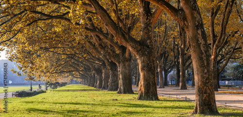 autumn park