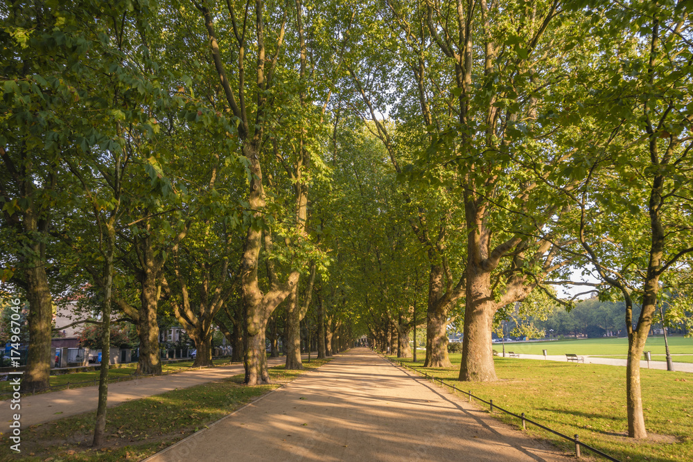 autumn park