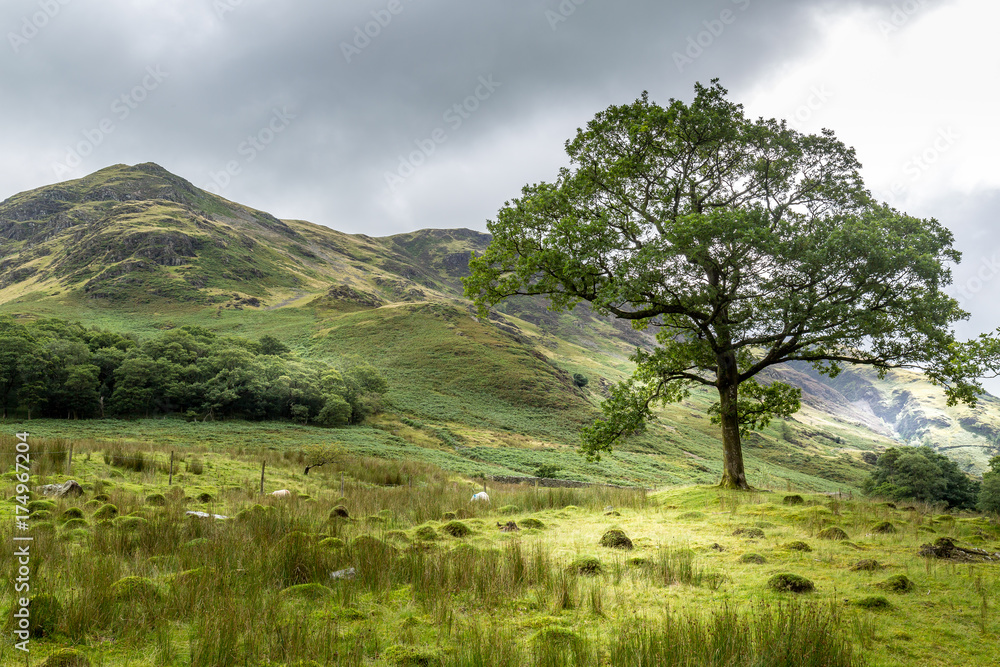 Obraz premium View of the area around Crummock Water, Lake District UK