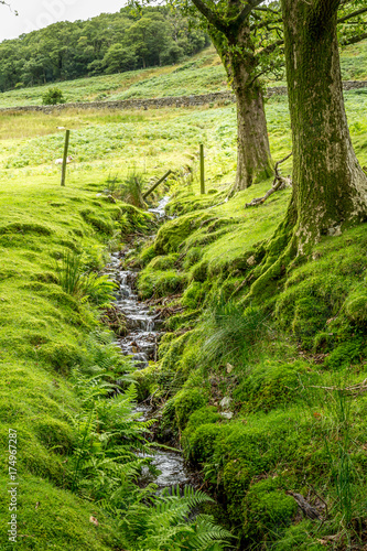 View of the area around Buttermere, Lake District UK