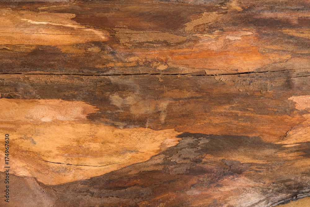 Brown natural wood texture closeup background