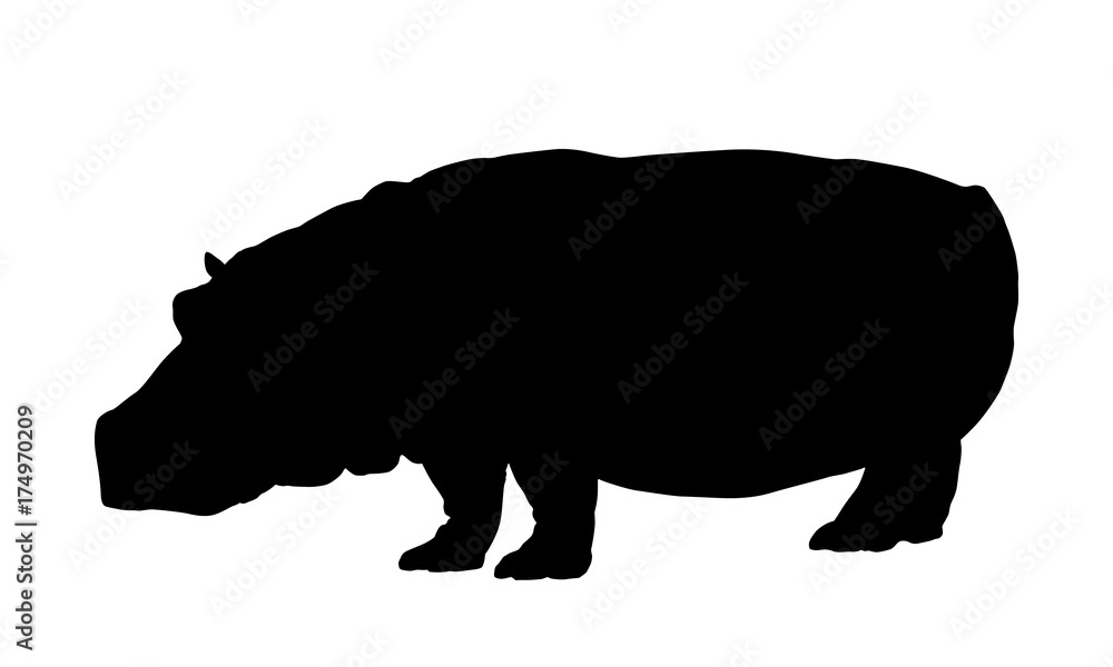 Hippo silhouette isolate on white background vector Hippo silhouette isolate on white background vector