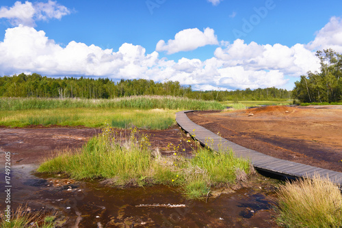 Nature reservation  SOOS   with nature trail through peat bogs