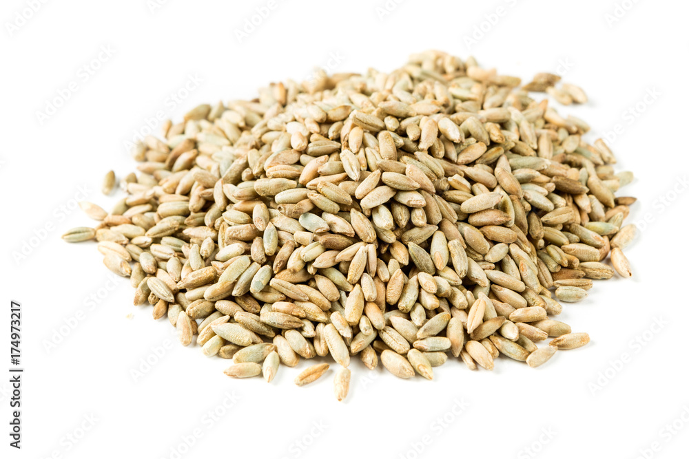 Rye berry grains isolated on a white background Rye berry grains isolated on a white background