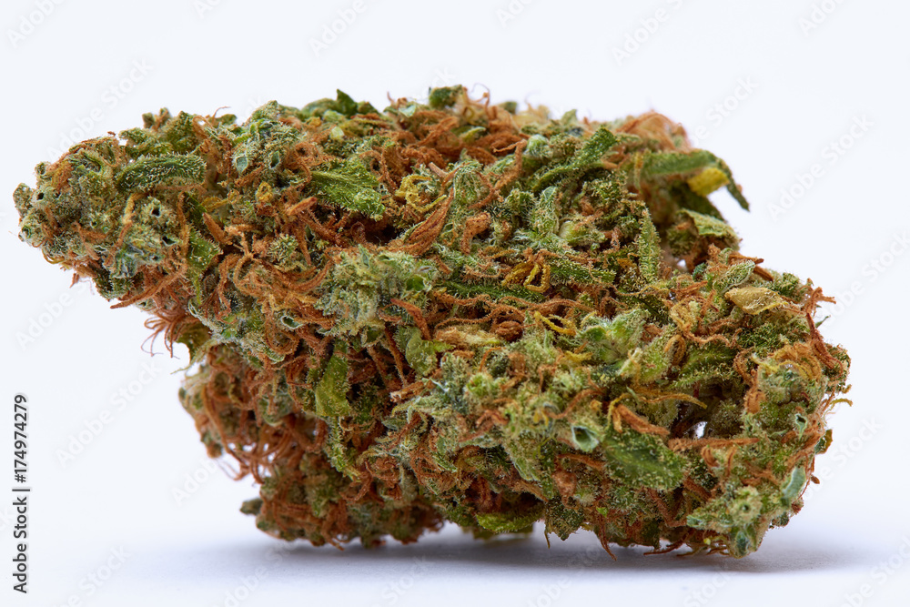 Close up of prescription medical marijuana flower strain Supreme Jack Close up of prescription medical marijuana flower strain Supreme Jack