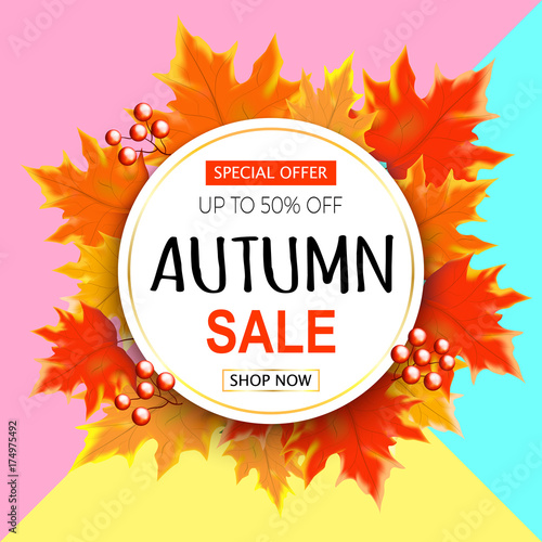 Autumn sale text banner with colorful seasonal fall leaves background for shopping discount promotion. Vector illustration.