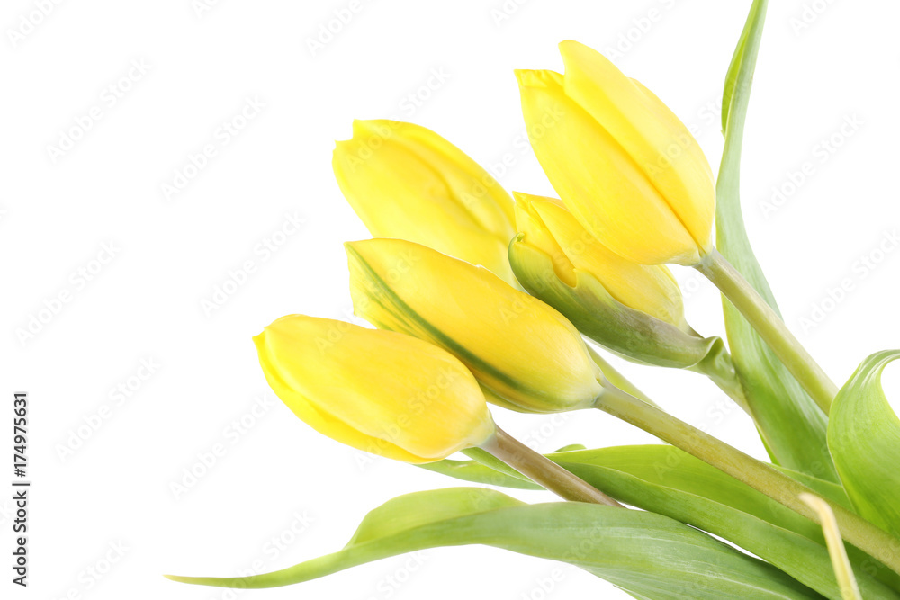 Bouquet of tulips isolated on a white Bouquet of tulips isolated on a white