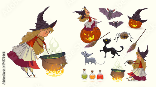 Set, Halloween, Witch, Pot, Potion, Broom, Pumpkin, Spider, Cat, Mouse, Rat, Bat, witch's Hat. Set. Vector photo