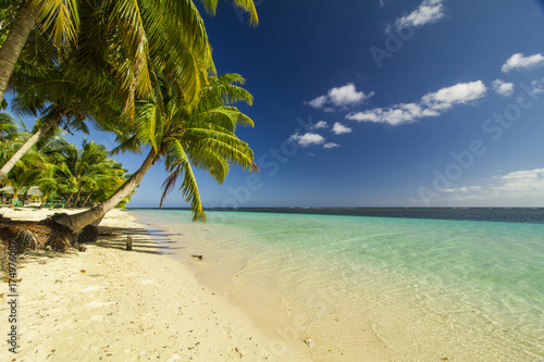 Fototapeta Naklejka Na Ścianę i Meble -  green coconut palm tree leaves above crystal blue sea