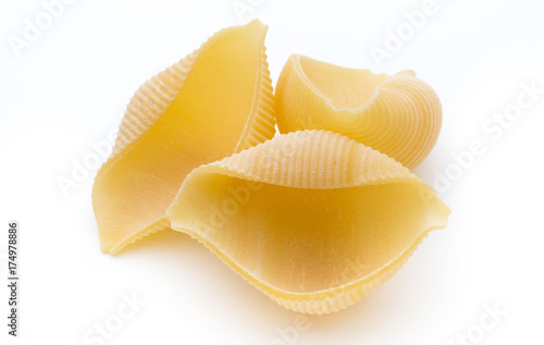 Italian lumaconi isolated on white background.