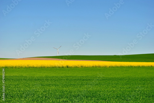 Biopaliwa i energia odnawialna photo