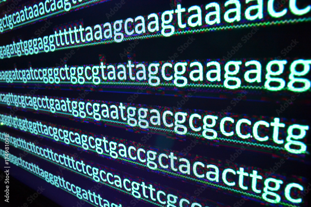 Sequencing the genome.