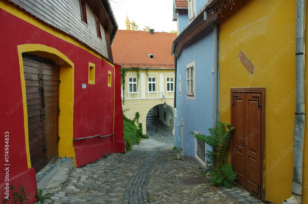 Sighisoara, medieval fortified town in Transylvania. The road leading to the medieval old town. Buildings typical for the region.