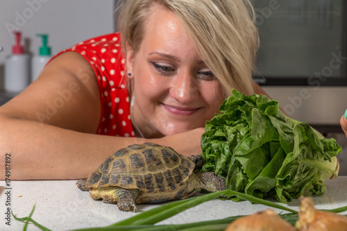 Tortoise eating roman salad while young woman looks at him photo