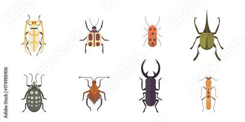 Set of insects flat style vector design icons. Collection nature beetle and zoology cartoon illustration