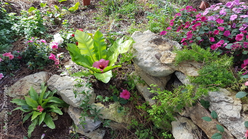 Flores