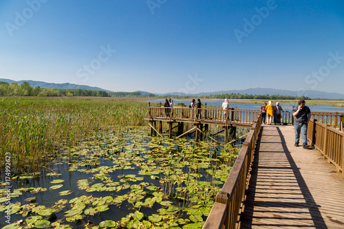Fototapeta Naklejka Na Ścianę i Meble -  Efteni Lake in Summer Day