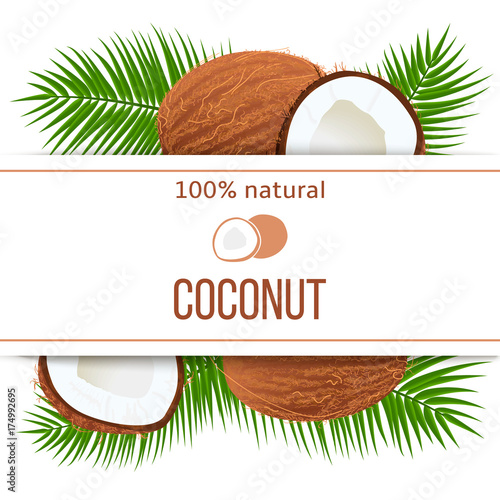 Ripe coconuts and palm leaves with text 100 percent natural. whole and cracked