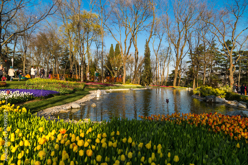 Fototapeta Naklejka Na Ścianę i Meble -  Tulip Gardens in Emirgan Parc