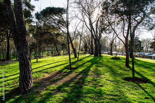 Tulip Gardens in Emirgan Parc