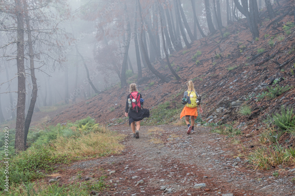 Obraz premium A misty, foggy day on the oldest Camino de Santiago in Spain the 