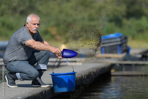 Εκτύπωση καμβά feeding the fish
