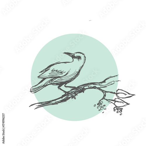 Sketch bird. Vector illustration