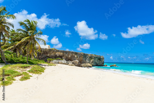 Bottom Bay, Barbados - Paradise beach on the Caribbean island of Barbados. Tropical coast with palms hanging over turquoise sea. Panoramic photo of beautiful landscape.