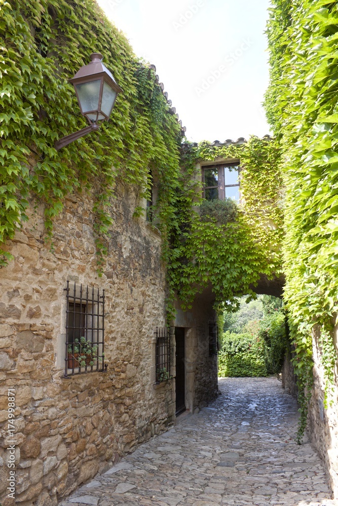 Narrow street, stone pavement full of ivy in Peratallada, Spain