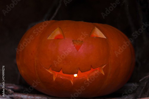 Halloween pumpkin in a forest. Close-up shot