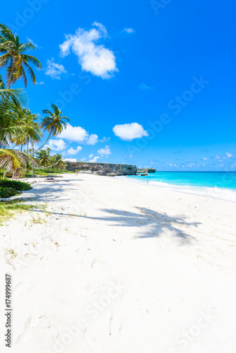 Fototapeta Naklejka Na Ścianę i Meble -  Bottom Bay, Barbados - Paradise beach on the Caribbean island of Barbados. Tropical coast with palms hanging over turquoise sea. Panoramic photo of beautiful landscape.