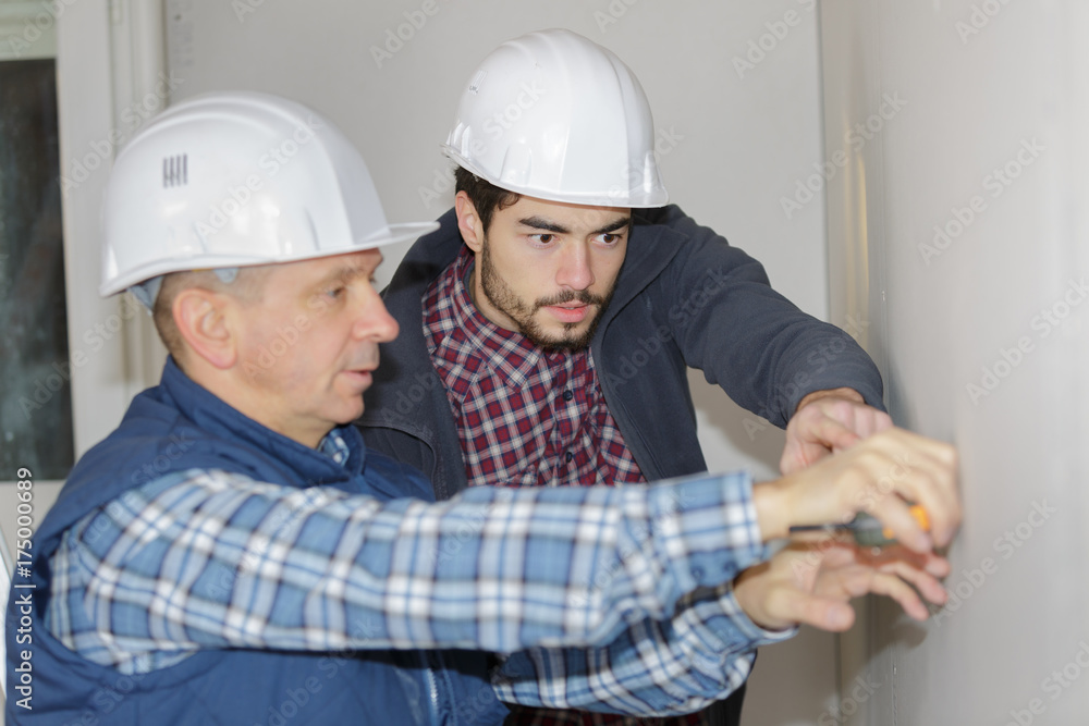 two working builders applies glue on a wall two working builders applies glue on a wall