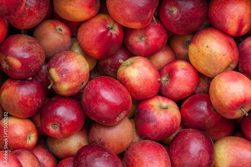 Insieme di mele rosse mature 